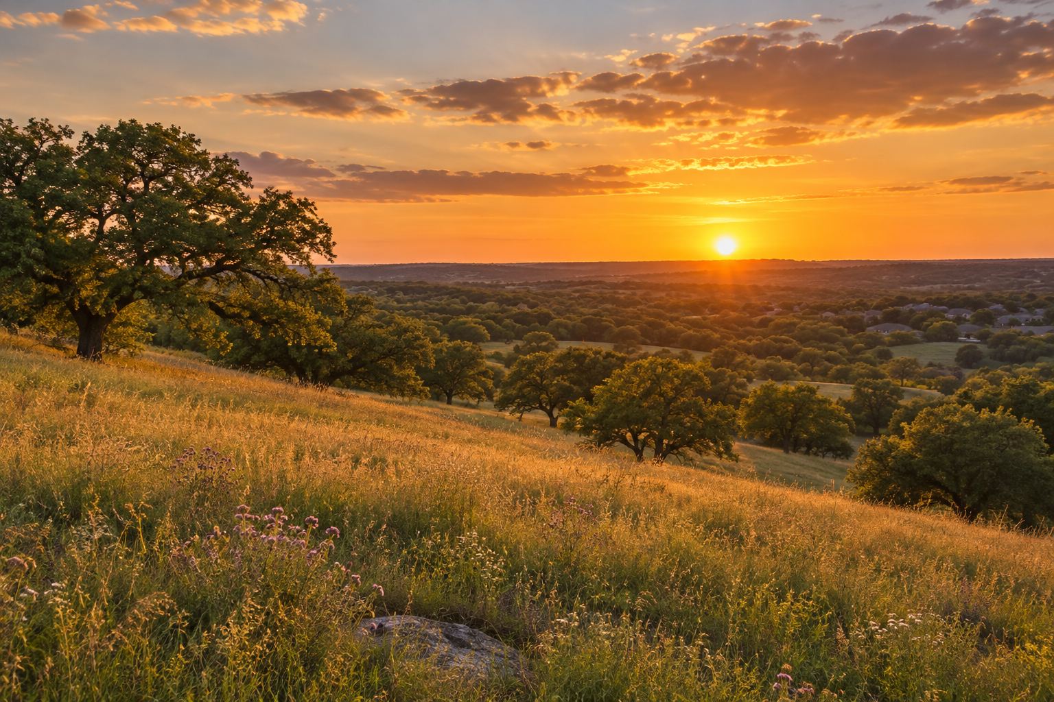 A Fort Worth hillside at sunset, illustrative